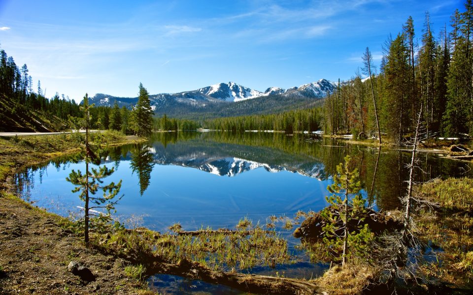 Election Day Turnout: Wyoming